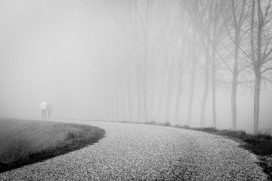 fog-1